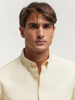 Oxford-Alvaro Moreno CAMISA OXFORD SOLID Amarillo