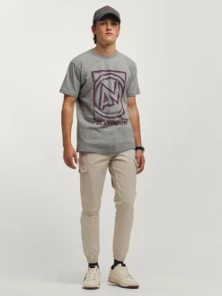 Teen|Camisetas-Alvaro Moreno CAMISETA LOGO Gris