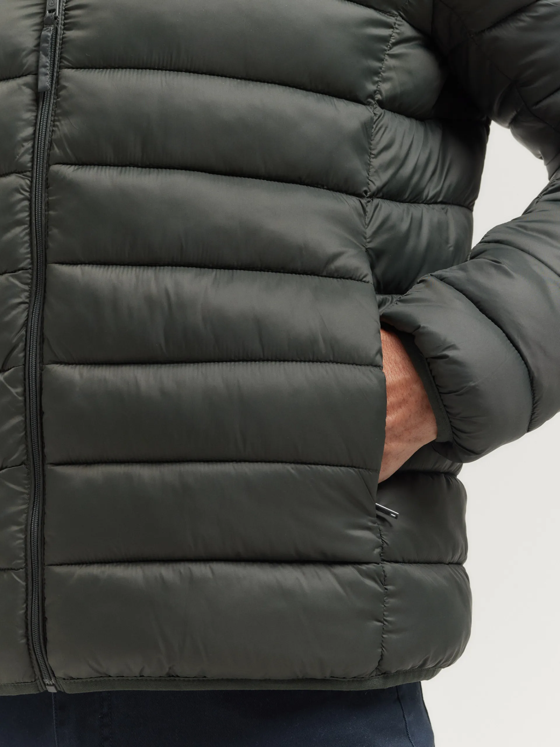 Cazadoras Y Parkas-Alvaro Moreno CAZADORA JIM Verde