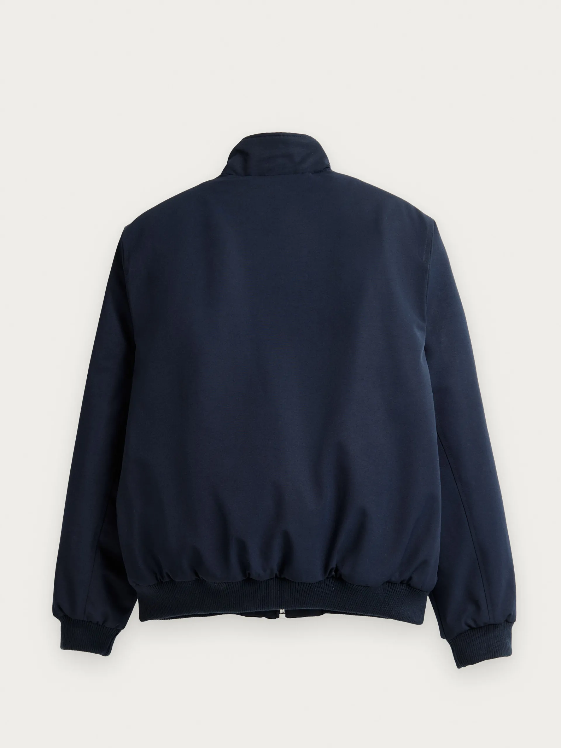 Cazadoras Y Parkas-Alvaro Moreno CAZADORA SMART Azul Marino