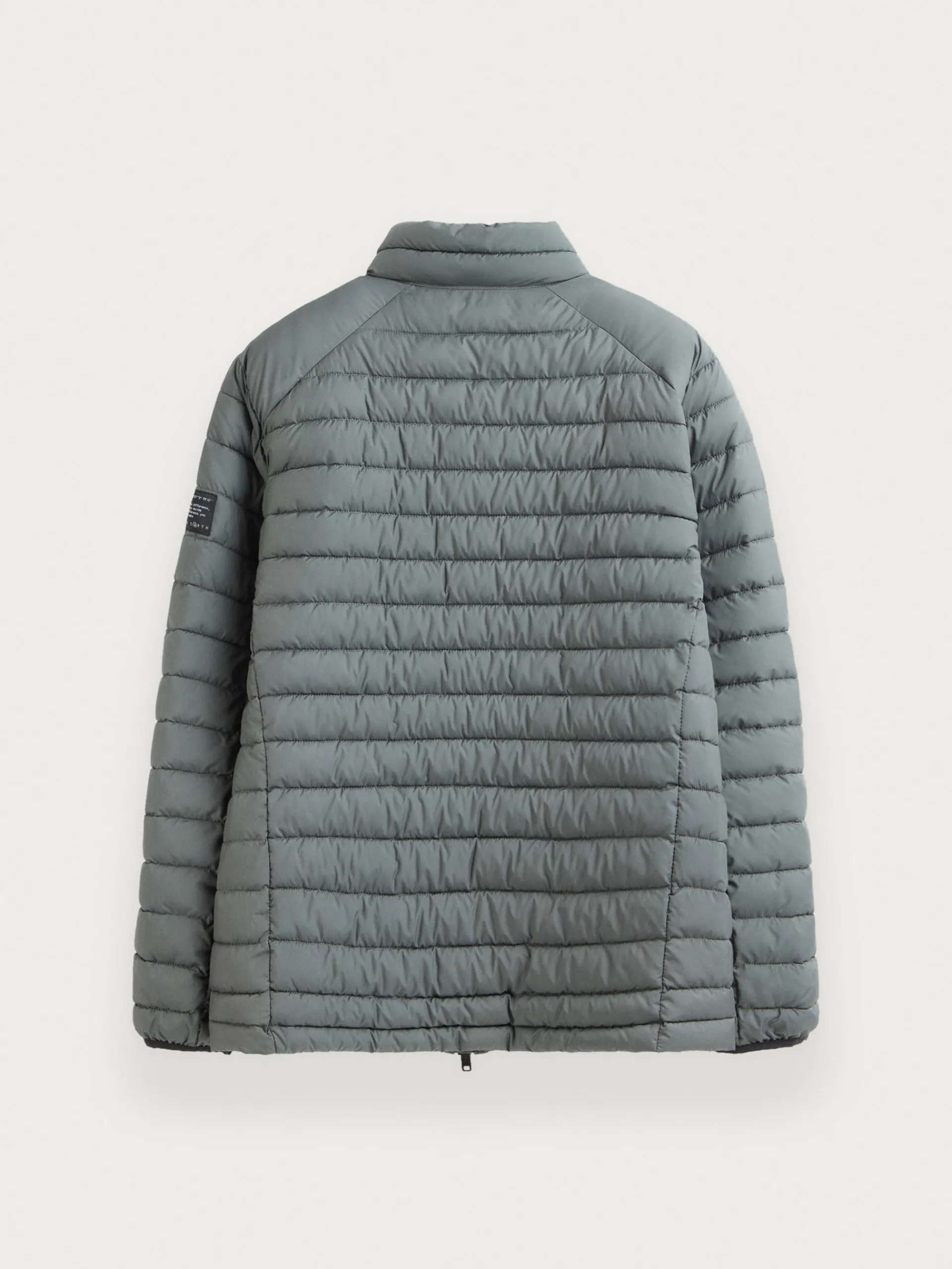 Cazadoras Y Parkas-Alvaro Moreno CAZADORA TROUT Verde