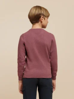 Jerséis-Alvaro Moreno JERSEY ROUND NECK KIDS Violeta