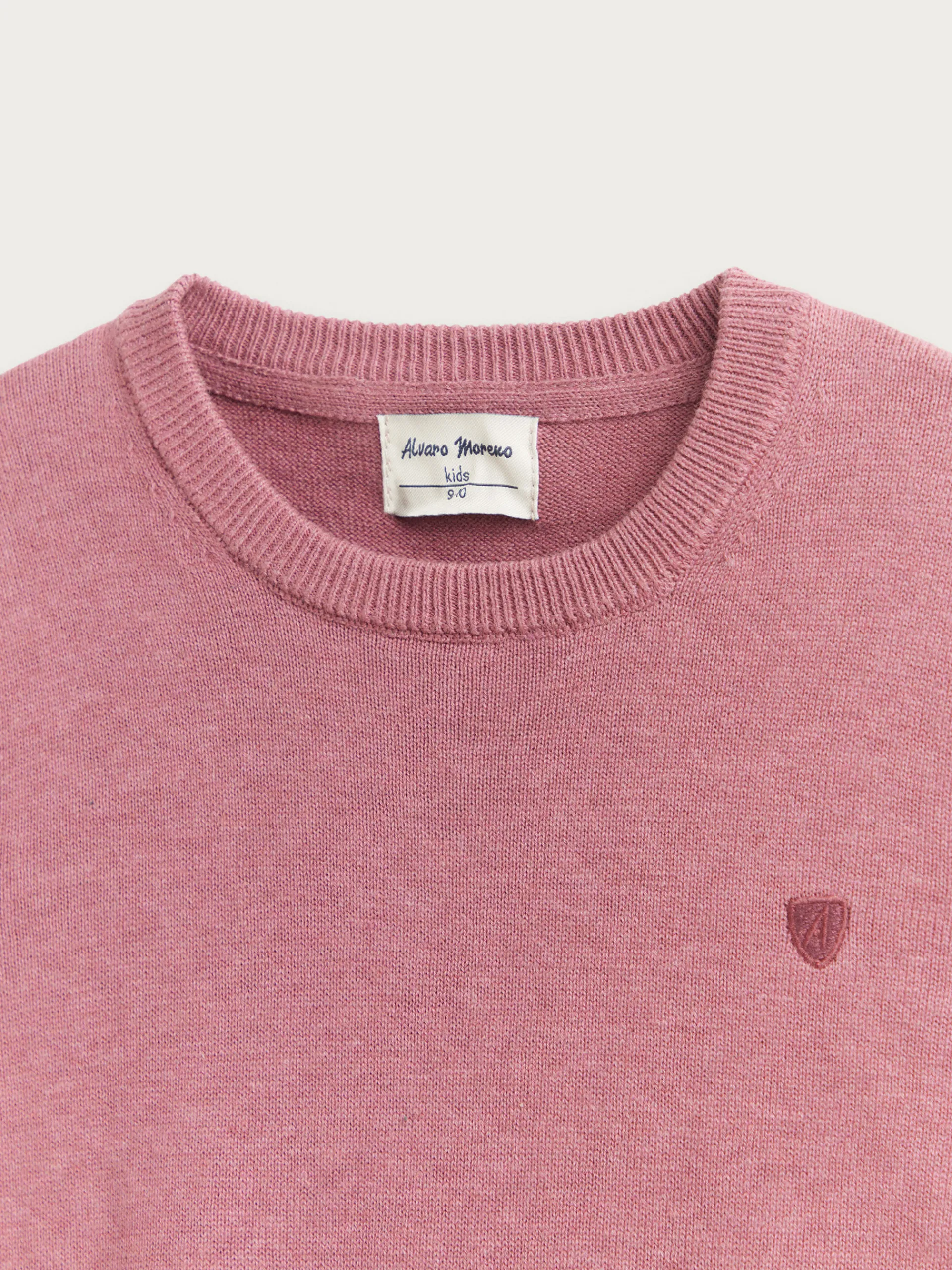 Jerséis-Alvaro Moreno JERSEY ROUND NECK KIDS Violeta