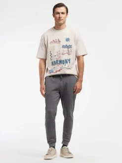 Casual-Alvaro Moreno JOGGER BASIC Gris