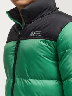 Teen|Cazadoras Y Parkas-Alvaro Moreno PARKA ELBRUS Verde
