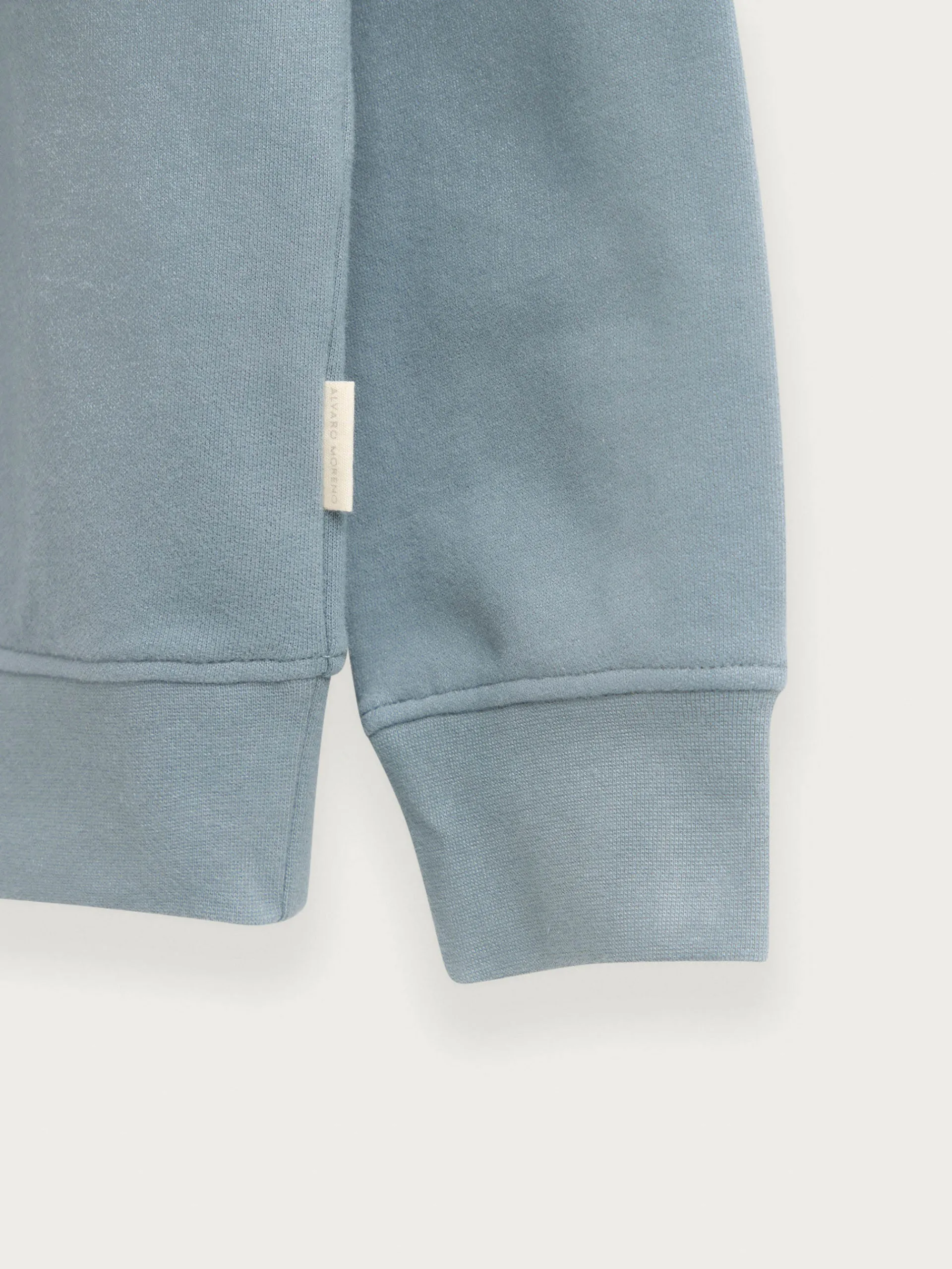 Sudaderas-Alvaro Moreno SUDADERA OFFICIAL Azul