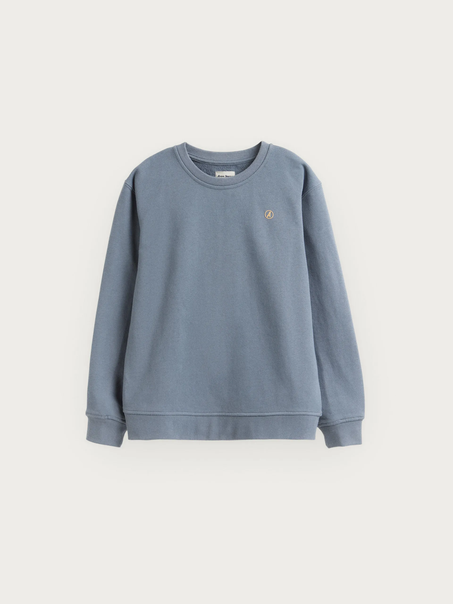 Sudaderas-Alvaro Moreno SUDADERA POSITIVE KIDS Azul