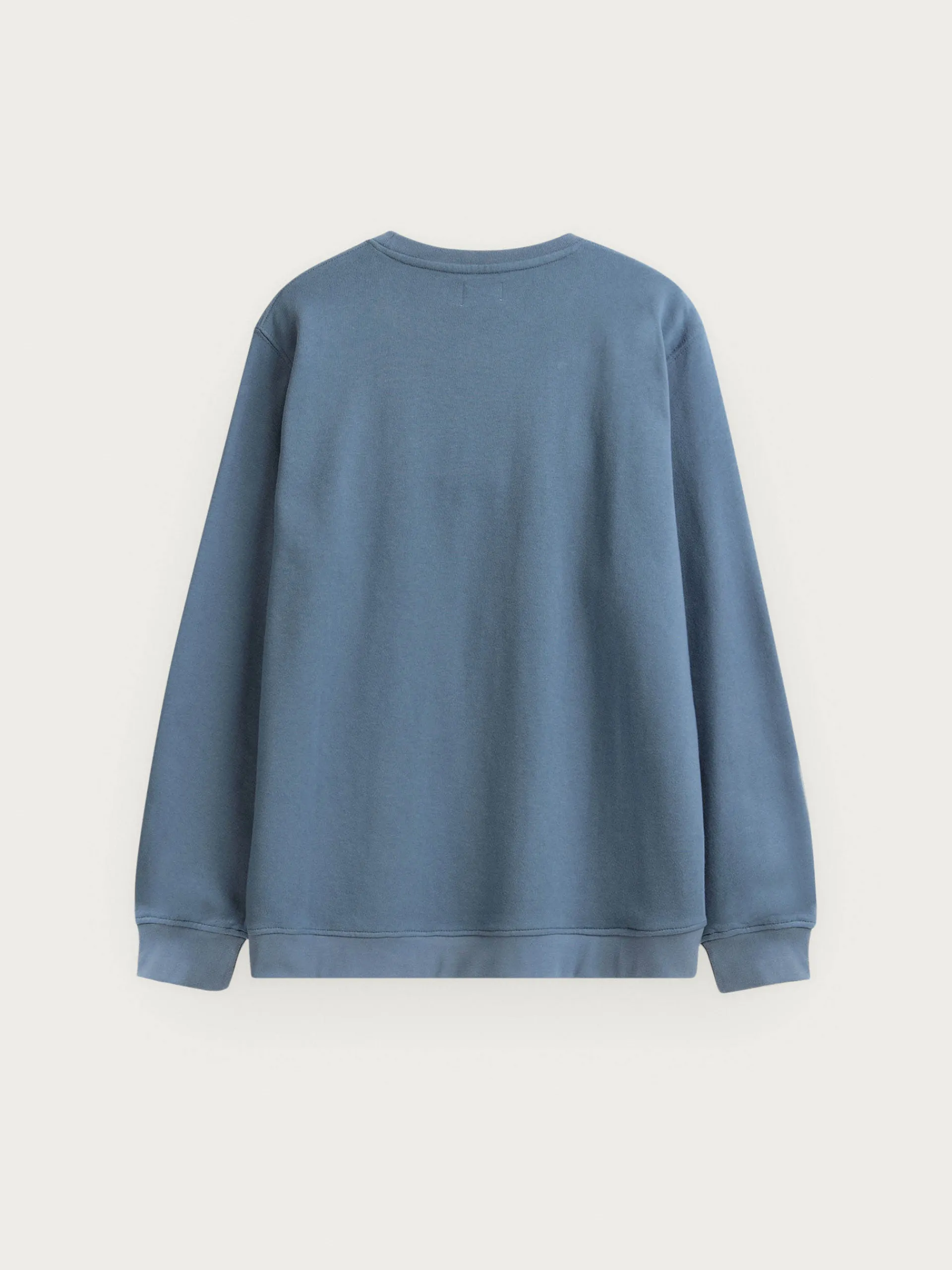 Sudaderas-Alvaro Moreno SUDADERA SINGULAR Azul